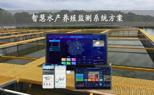 養殖環境監測系統方案 守護養殖健康的智慧之眼